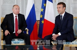 Tổng thống Nga, Pháp nhất trí ưu tiên cuộc chiến chống khủng bố 